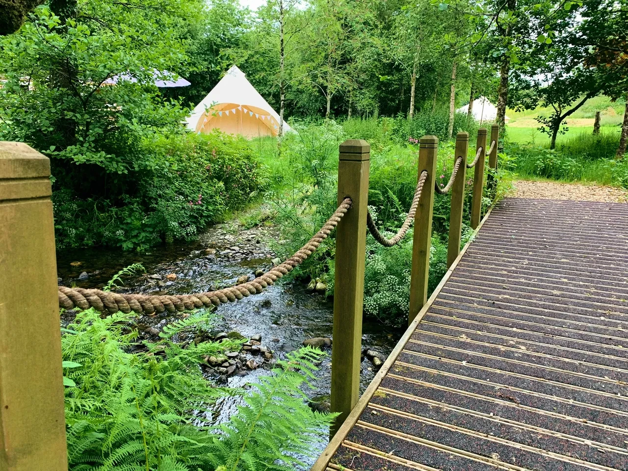 Wooden rope bridge over a babbling stream with a glamping bell tent visible through the lush green woodland at Oak Tree Farm
