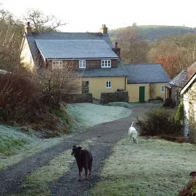 Frosty winter morning at Oak Tree Farm with the farmhouse, outbuildings and dogs on the driveway against the Welsh hills