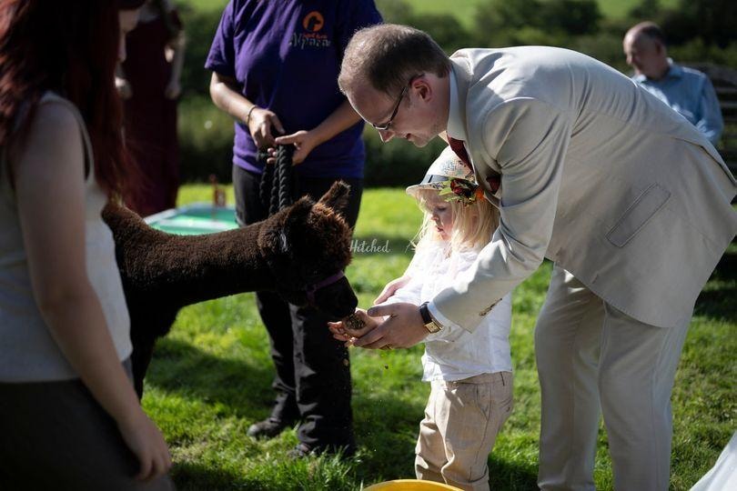 Wedding celebration at Oak Tree Farm