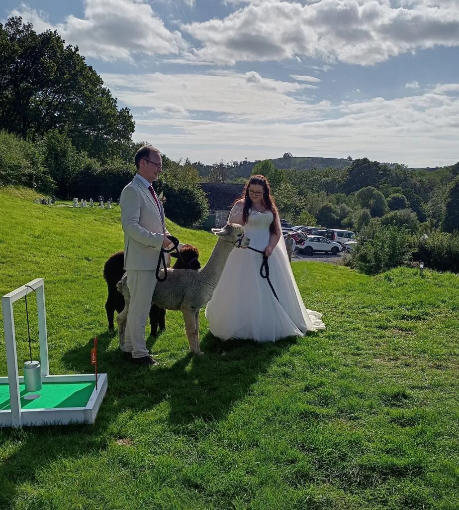 Bride and groom with alpaca at Oak Tree Farm